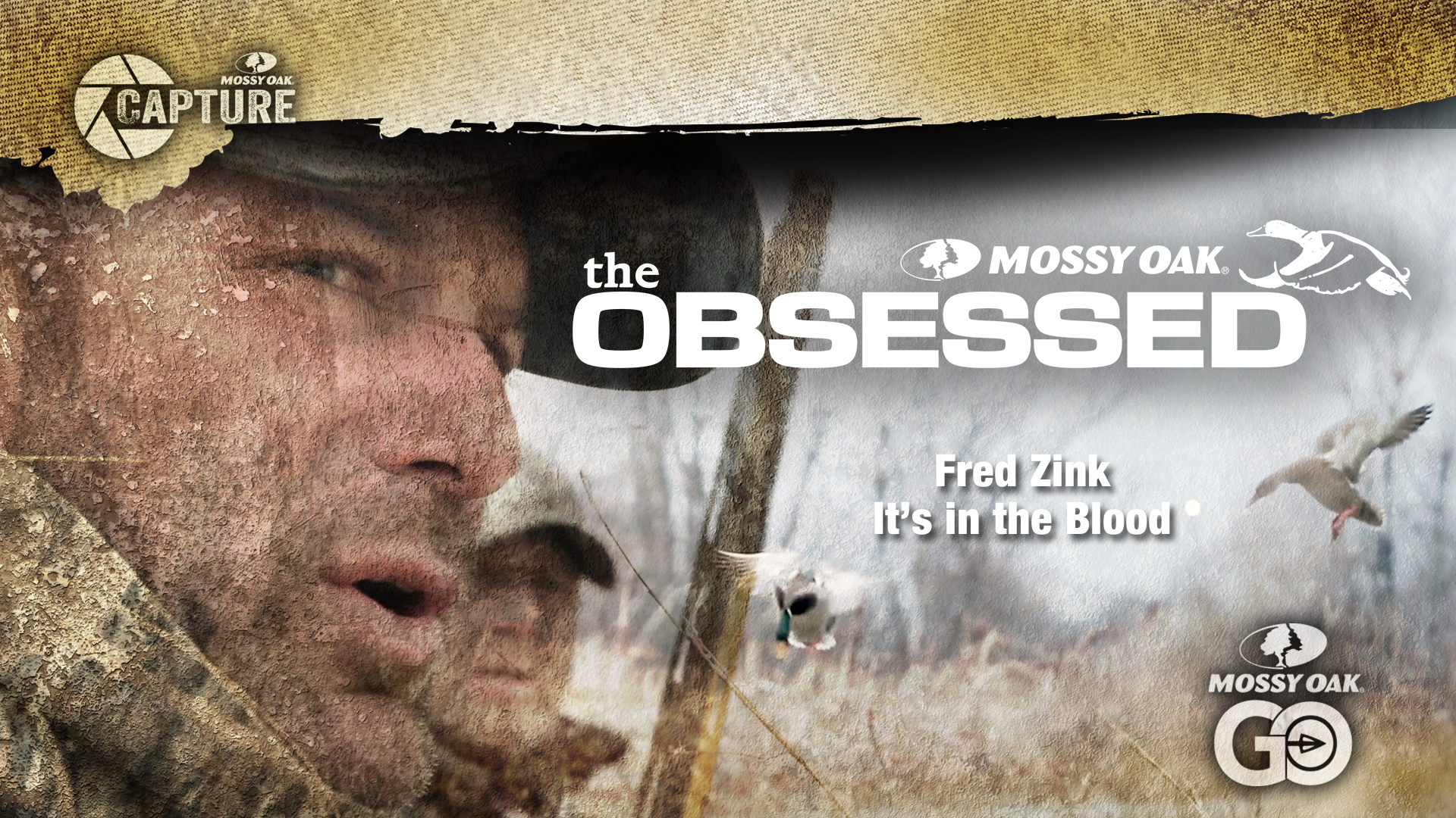 Fred Zink Waterfowl  "It's in the Blood"