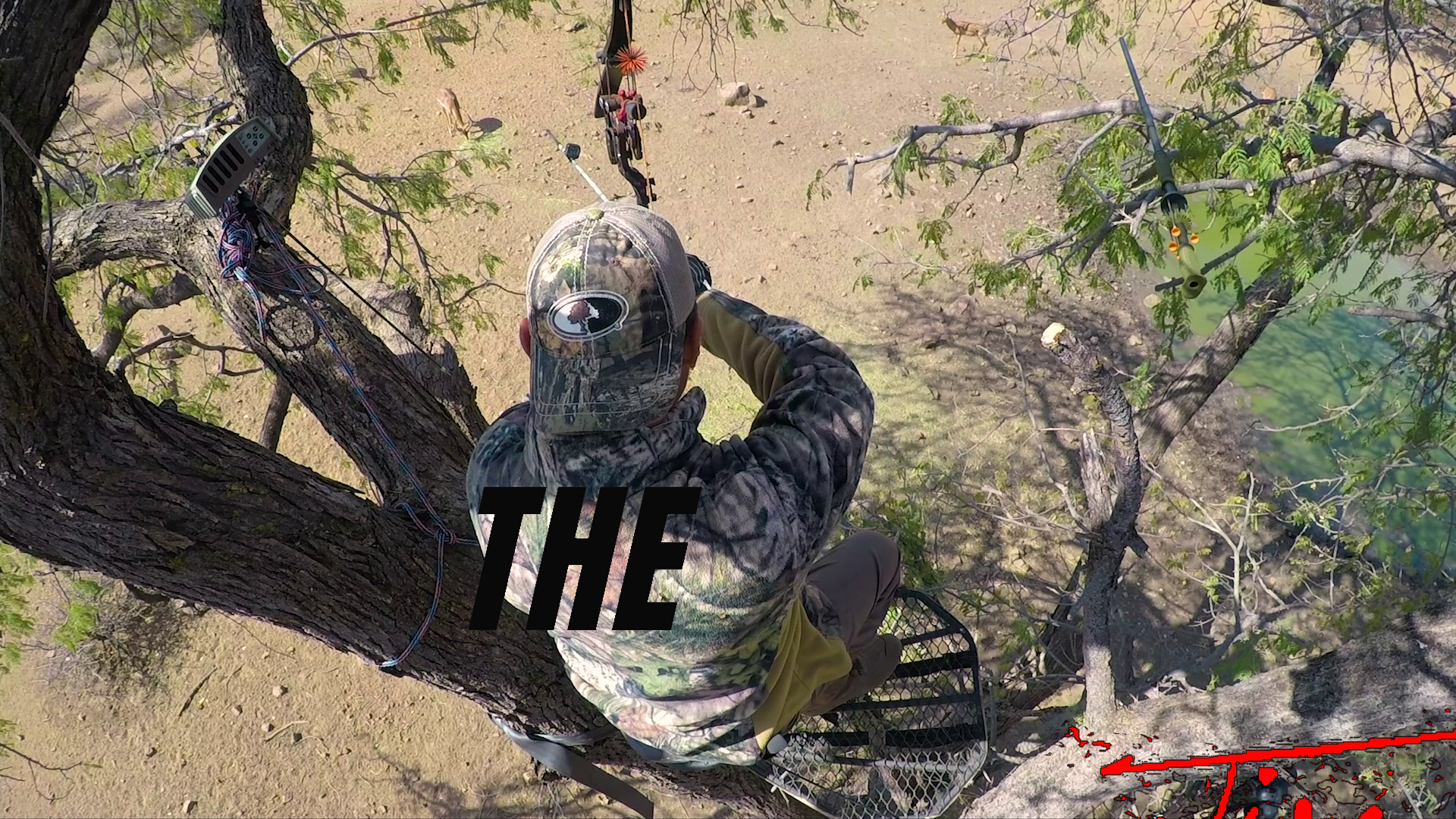 Africa Hard Hits 2 • Tim Wells