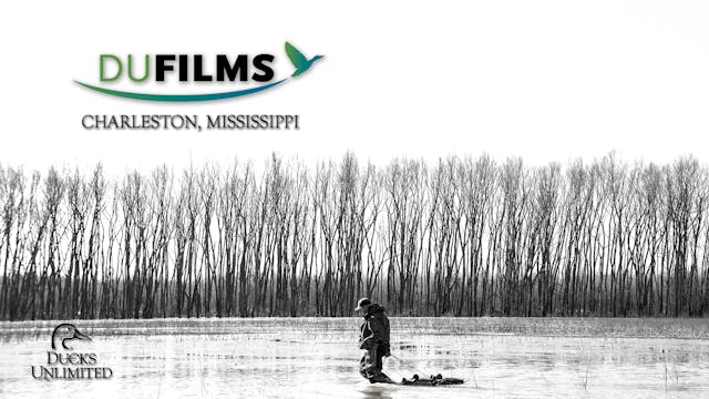 Charleston, Mississippi • DU Films
