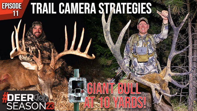 Summer Trail Cameras, A GIANT Whitetail, And A Screaming Elk! | Deer Season 23