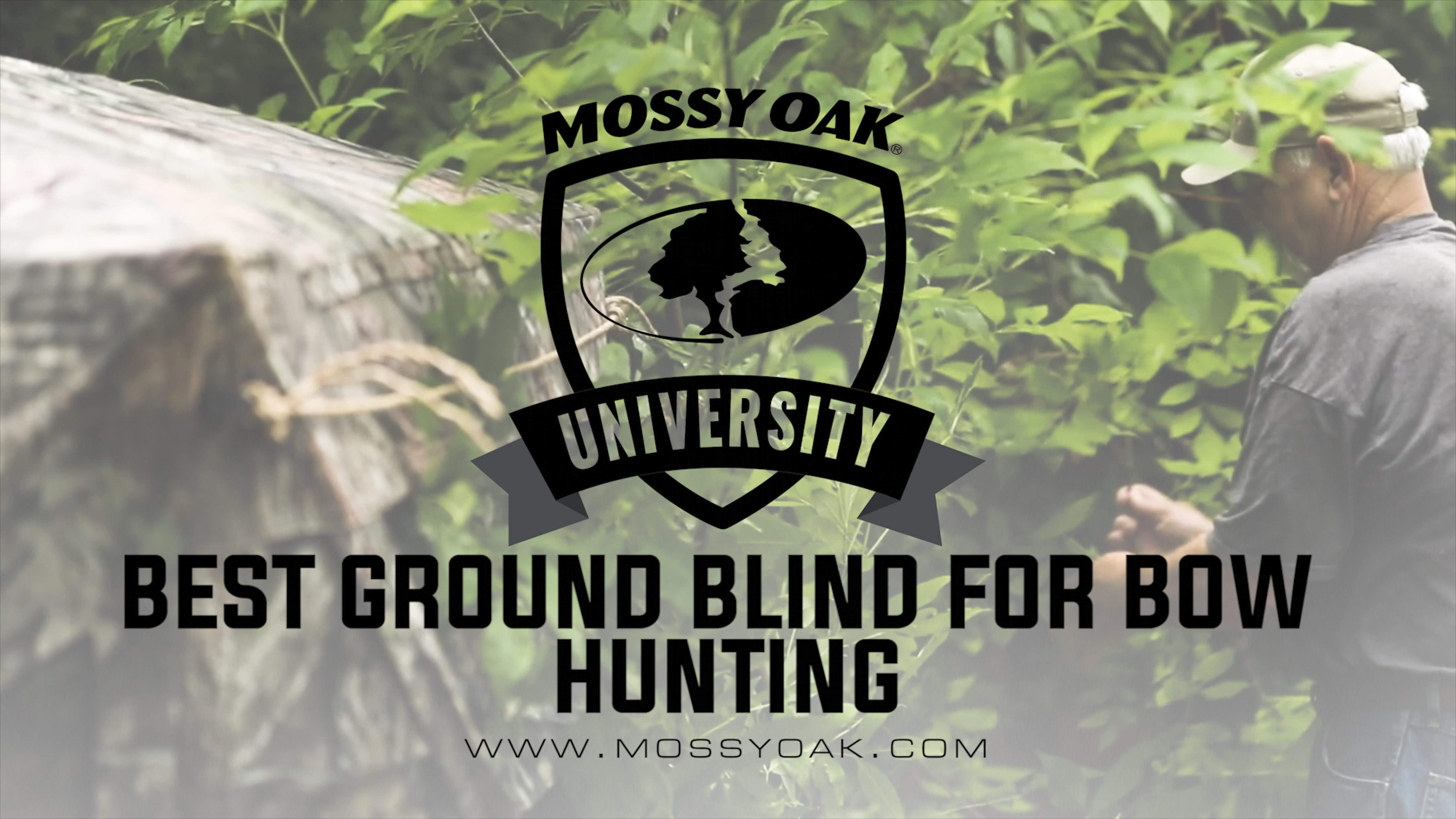 Best Ground Blind For Bow Hunting