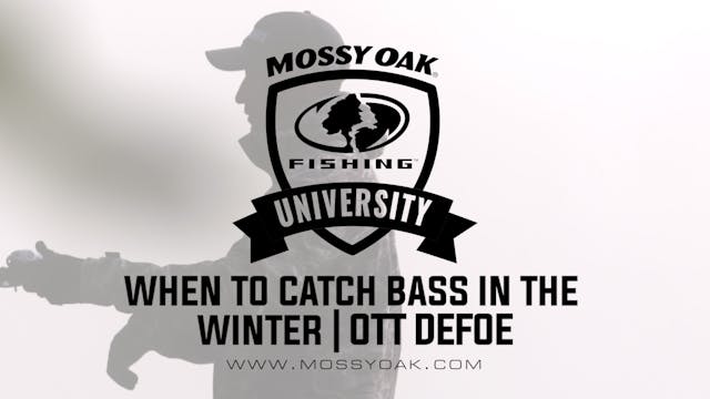 When to Catch Bass in the Winter - Ot...