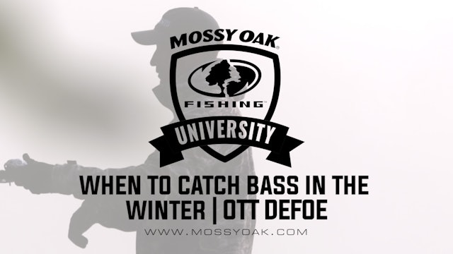 When to Catch Bass in the Winter - Ott DeFoe Fishing Tips