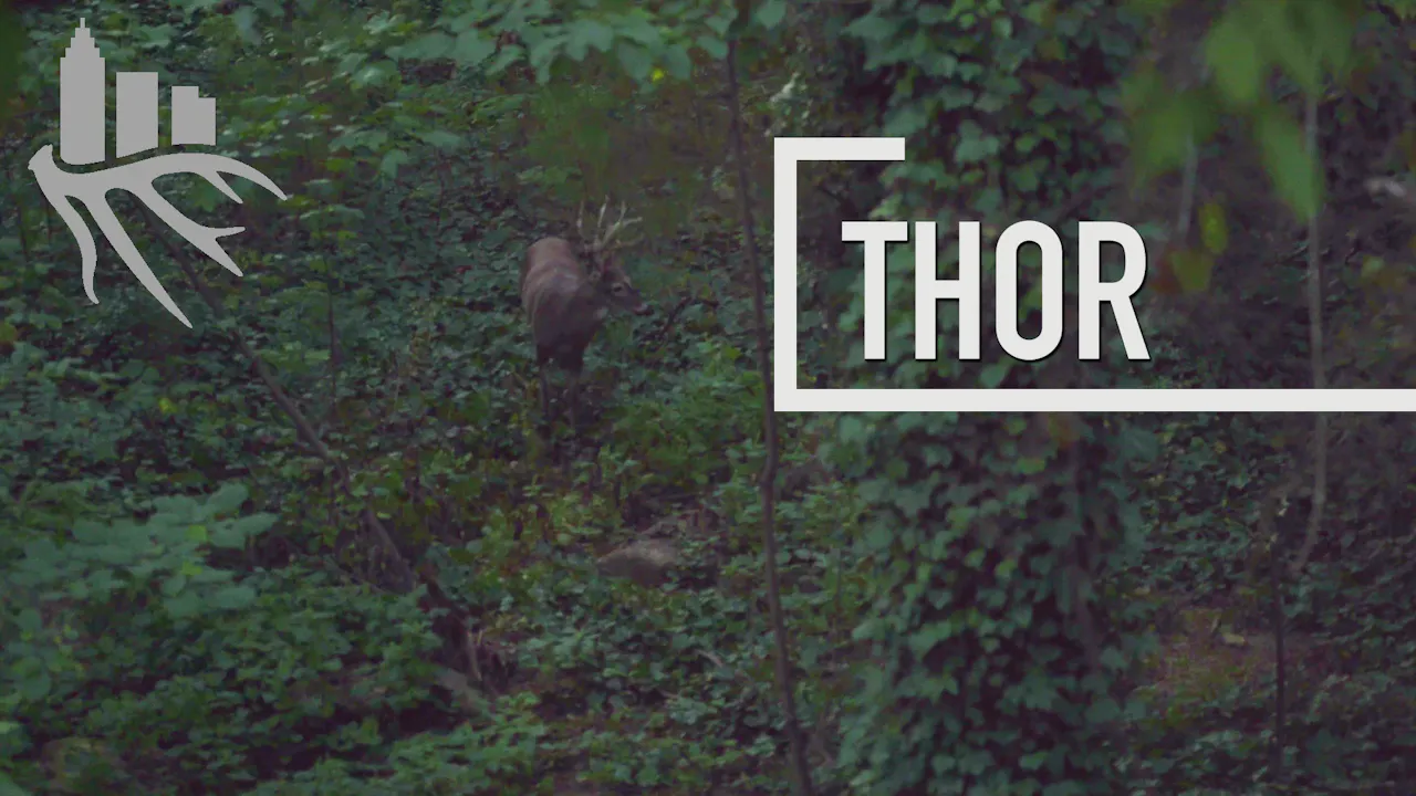Thor • The Season - Mossy Oak GO