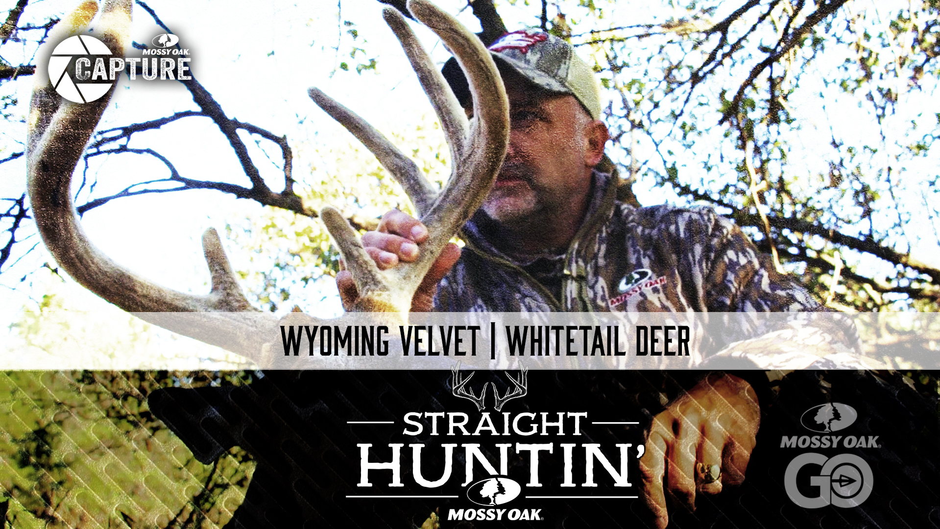 Wyoming Velvet • Whitetail Deer • Straight Huntin'