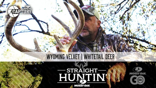 Wyoming Velvet • Whitetail Deer • Str...