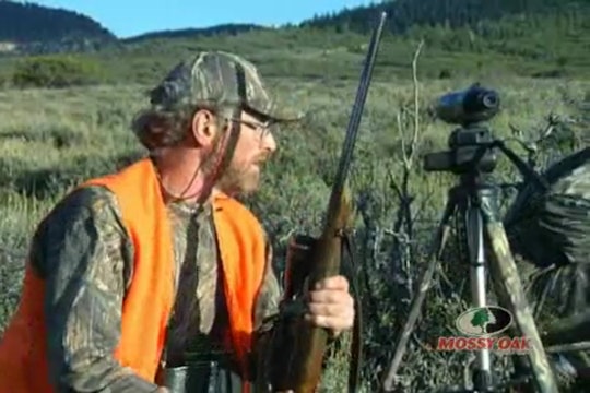 Utah Mulies • Hunts for Mule Deer in Utah