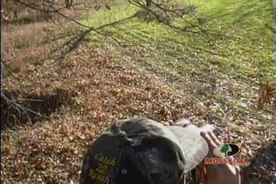 Oklahoma Buck Fever • Massive Antlers...