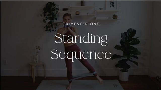 18 minute Standing Sequence 