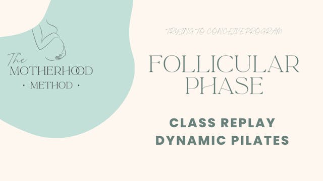 Follicular Phase - Class Replay Dynam...