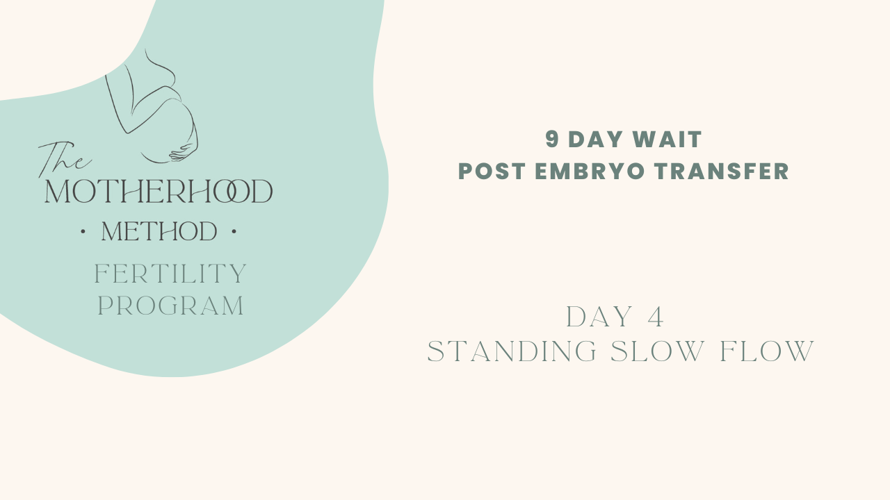 DAY 4 - Slow standing flow 