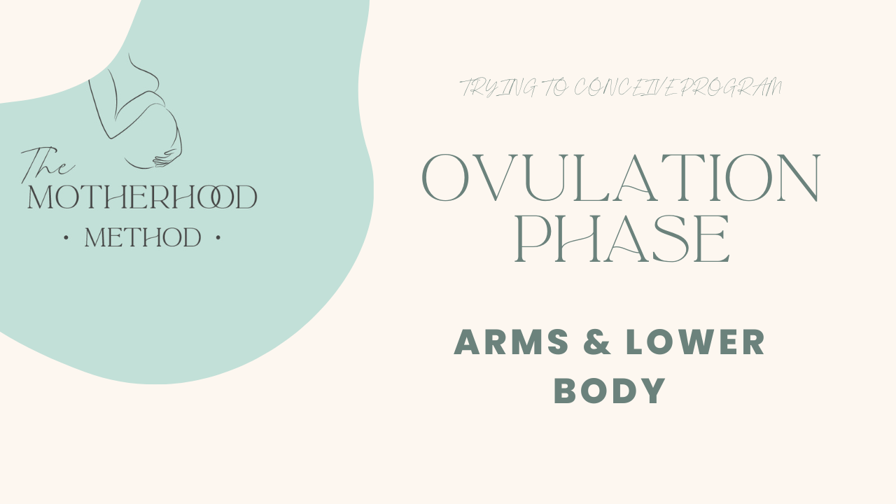 Ovulation Phase - Arms & Lower Body