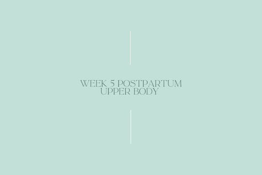WEEK 5 - Postpartum Upper body