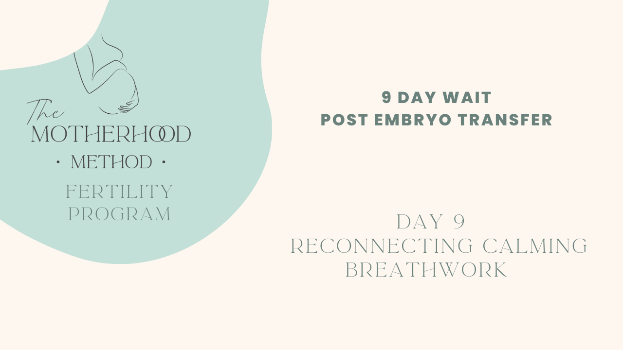 DAY 9 - Reconnecting calming breathwork