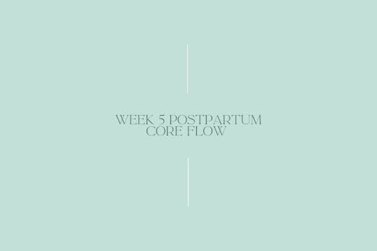 WEEK 5 Postpartum - Core flow