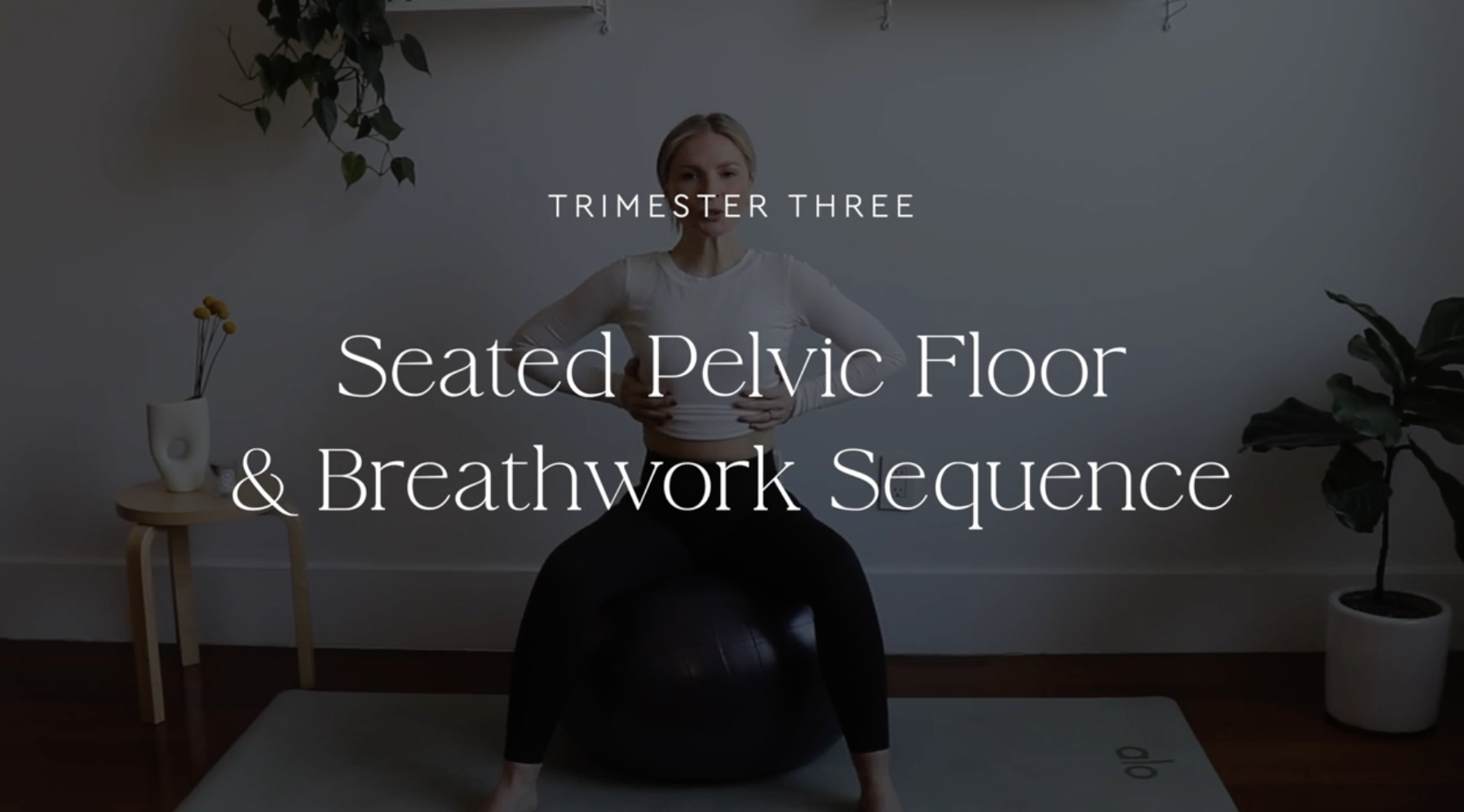 Seated Pelvic Floor + Breathwork sequence