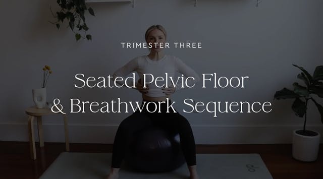 Seated Pelvic Floor + Breathwork sequ...