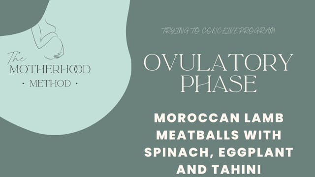 Ovulatory Phase Dinner - Moroccan Lam...