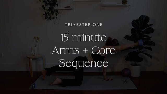 15 minute arms & core sequence 