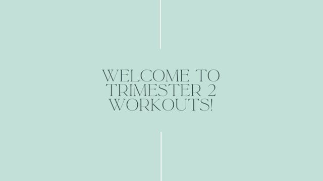 Introduction to Trimester 2 workouts