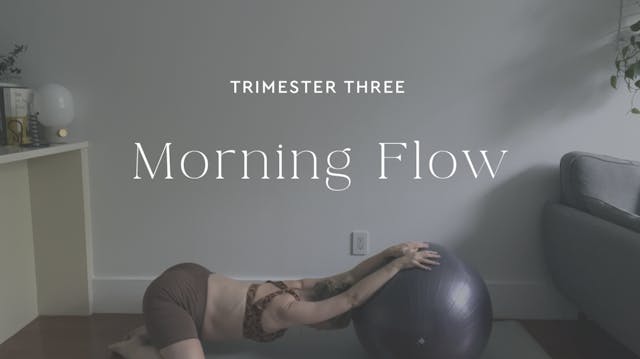 Trimester 3 - Morning Flow 