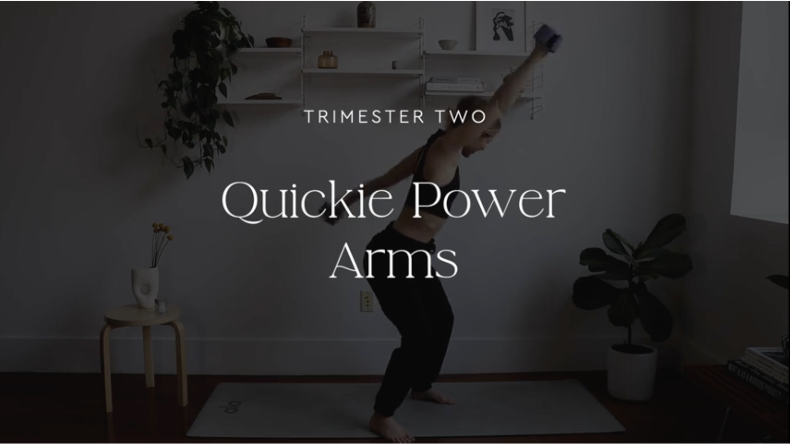 Quickie power arms