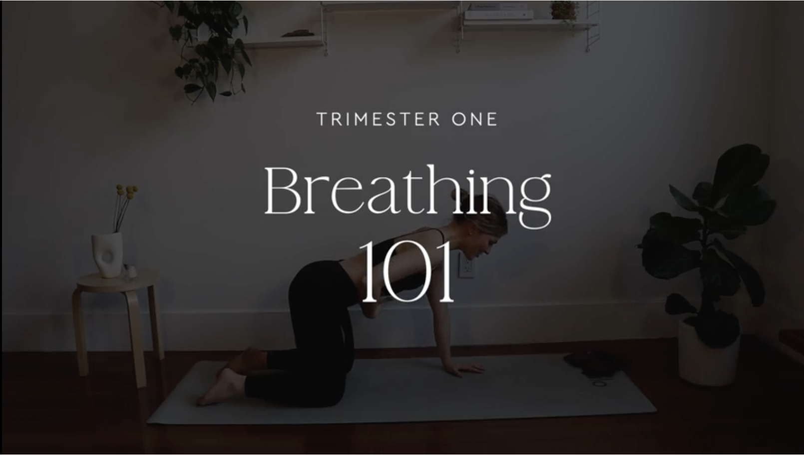 Breathing 101