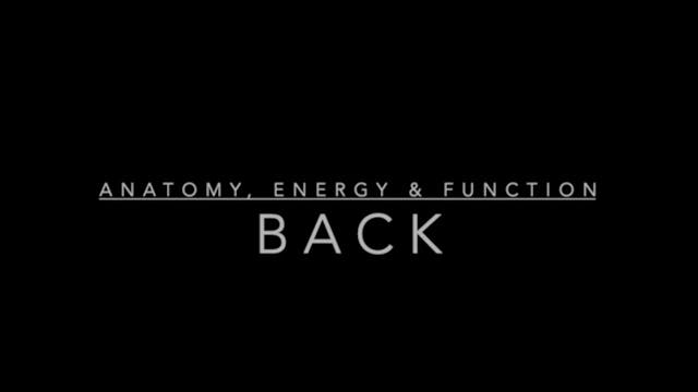 Back: Anatomy, Energy & Function