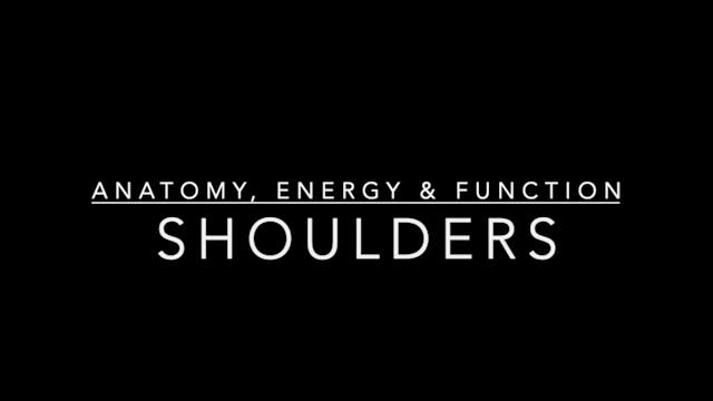 Shoulders: Anatomy, Energy & Function