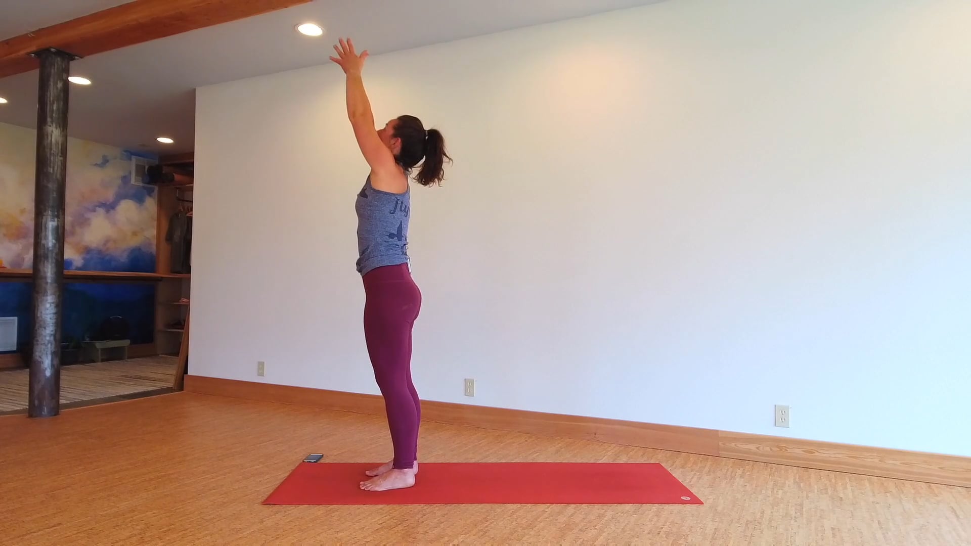 Dynamic Dolphin Flow