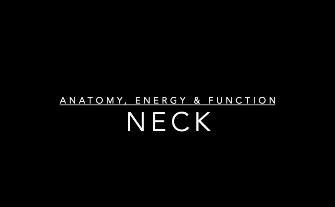 Neck: Anatomy, Energy, and Function