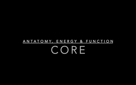 Core: Anatomy, Energy, & Function