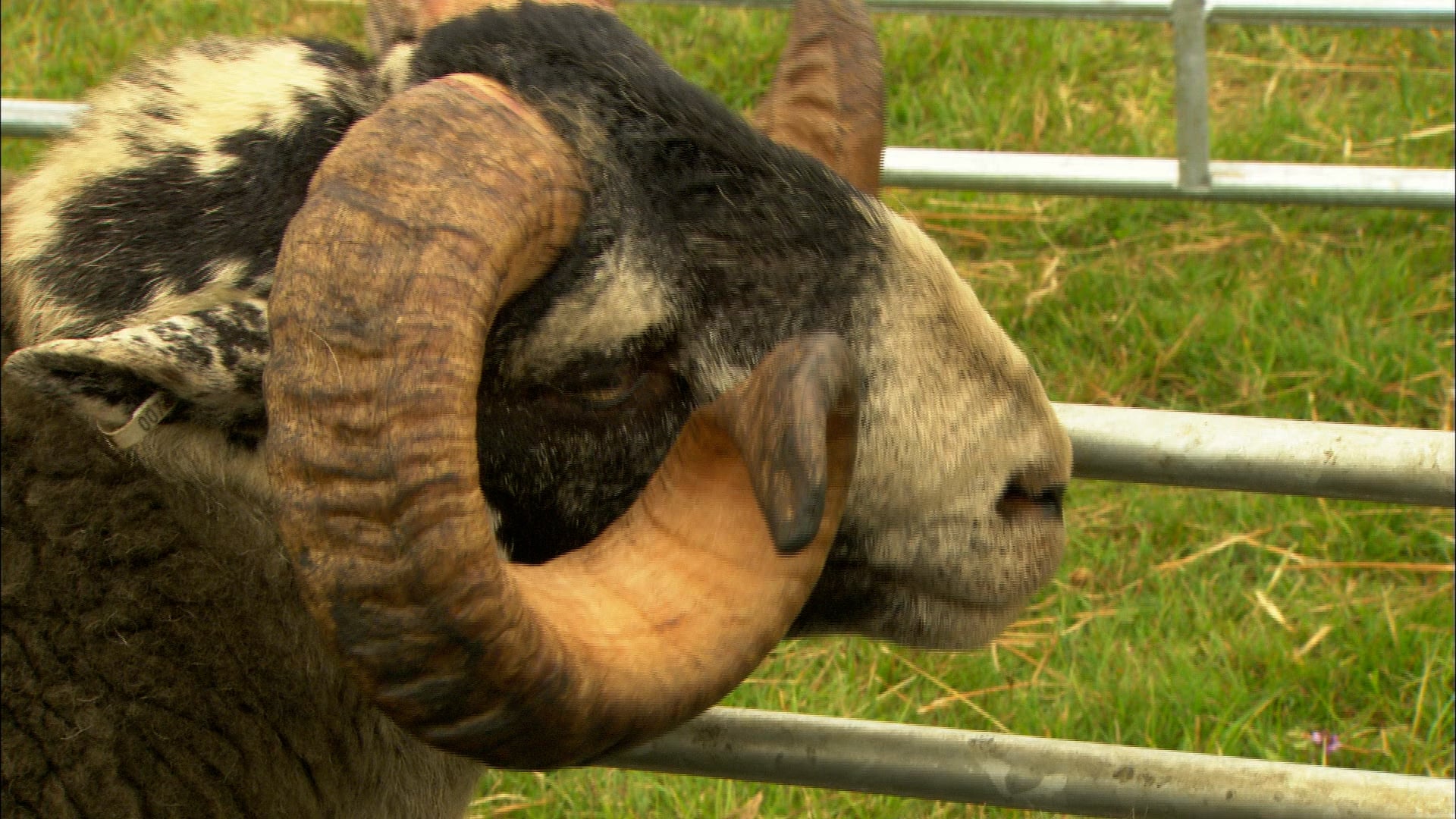 The Farm Fixer: S1.E3 - Poet Crematorium