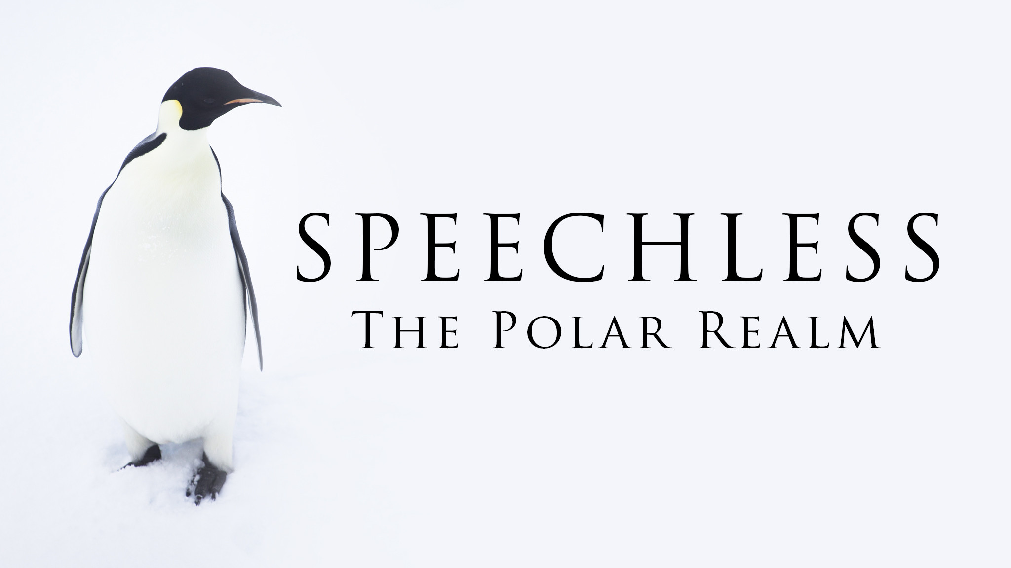 Speechless - The Polar Realm
