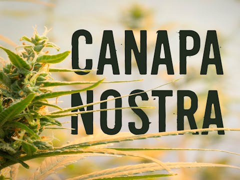 Canapa Nostrsa 