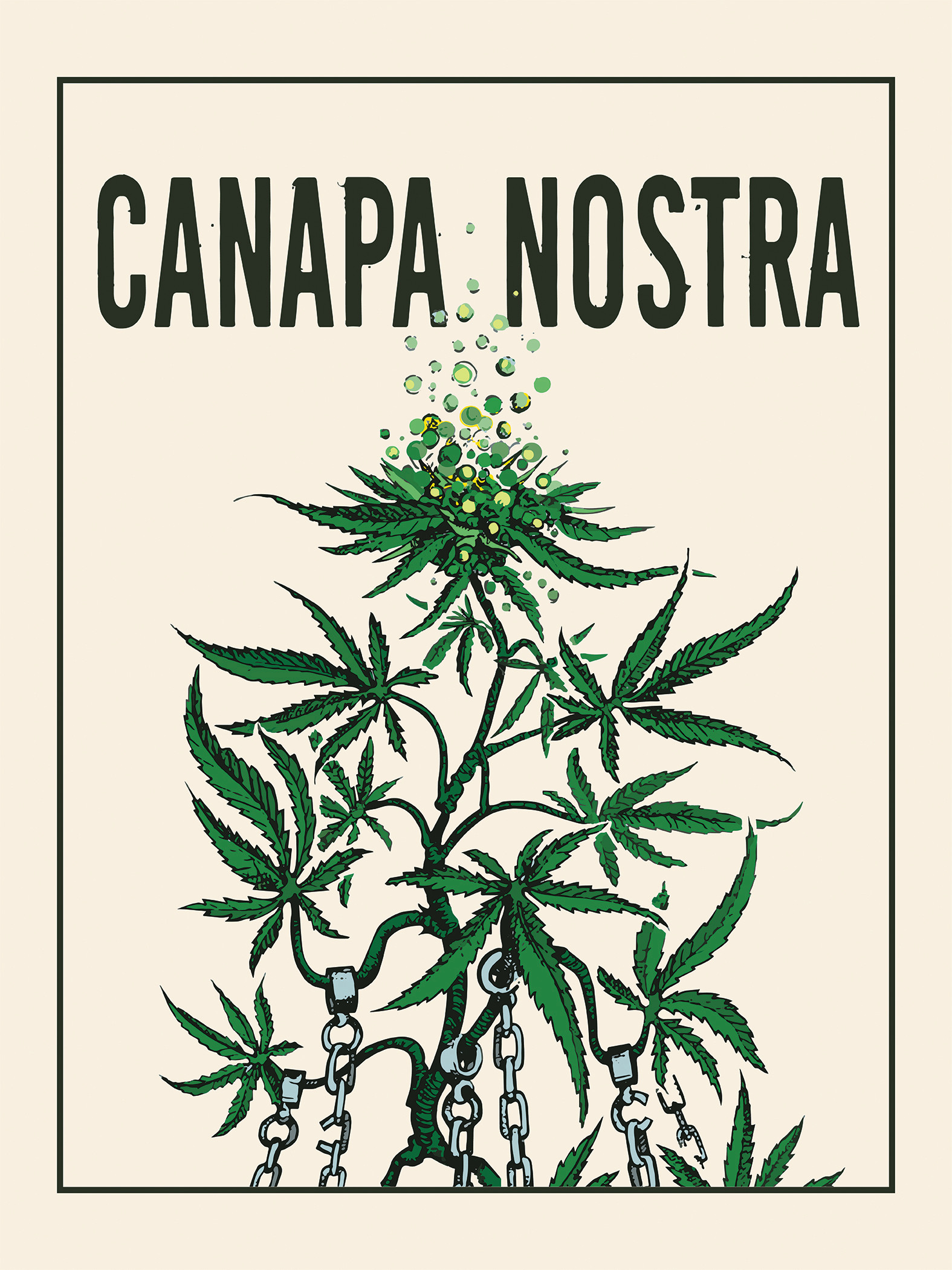 Canapa Nostrsa 