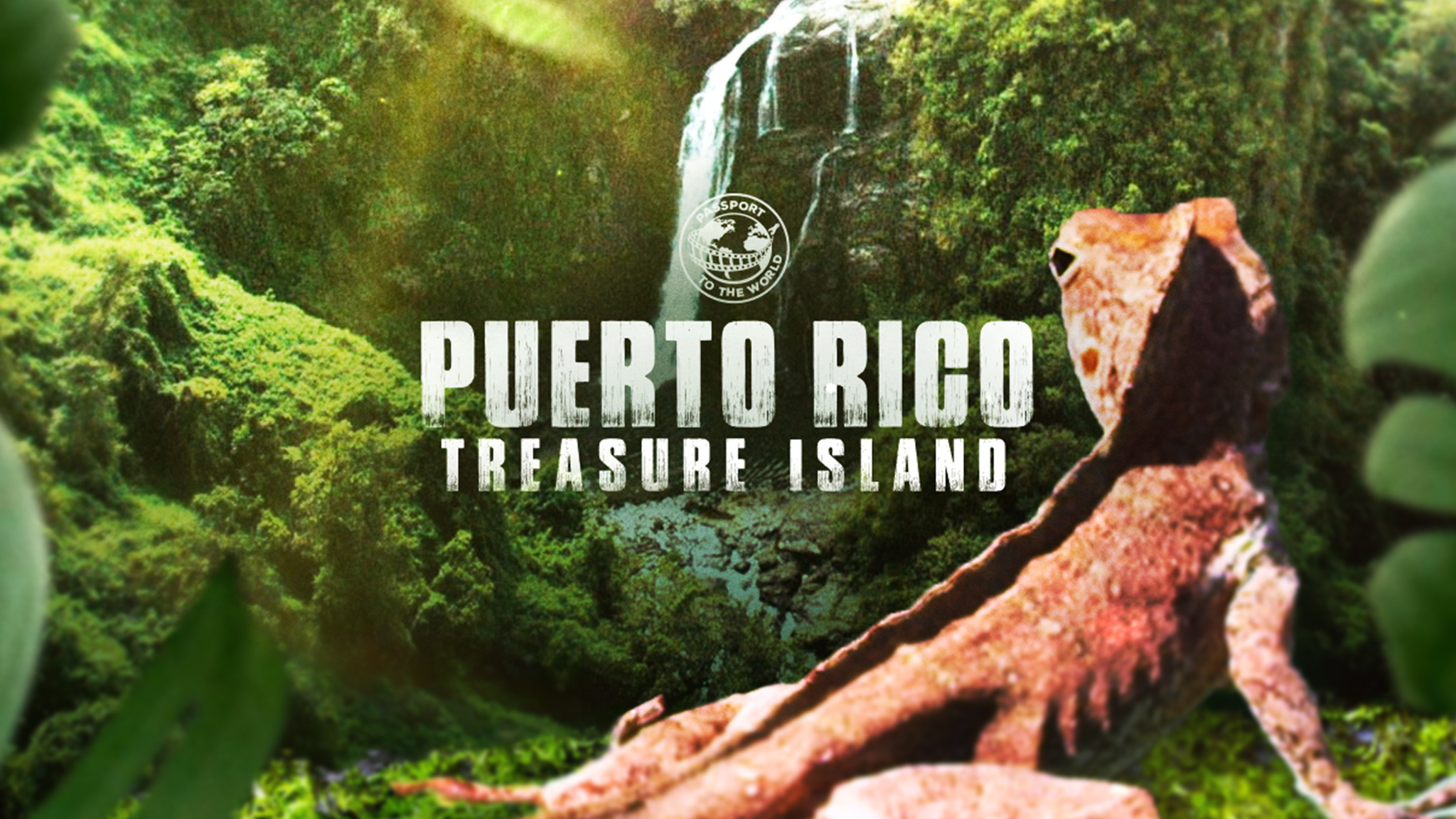 Passport to the world: Puerto Rico