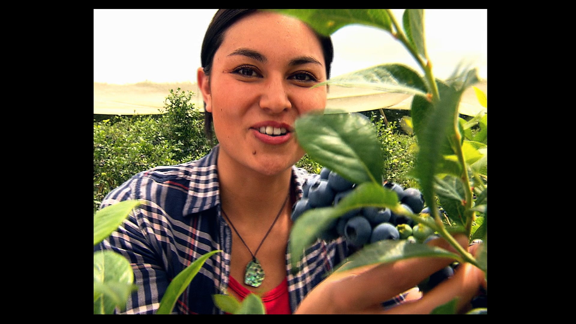 New Zealand with Nadia Lim: S1 Ep2 - Auckland