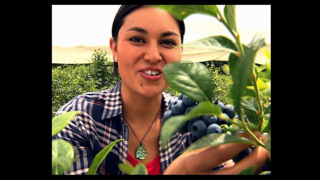 New Zealand with Nadia Lim: S1 Ep2 - ...