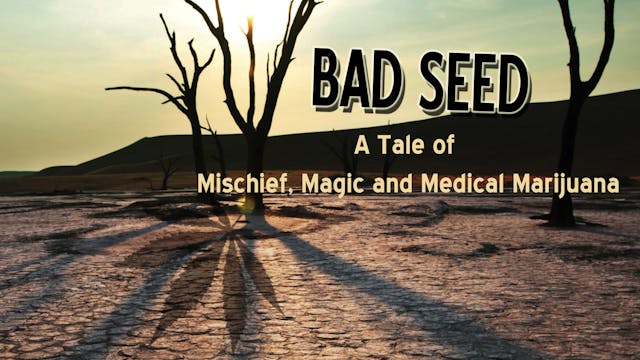 Bad Seed