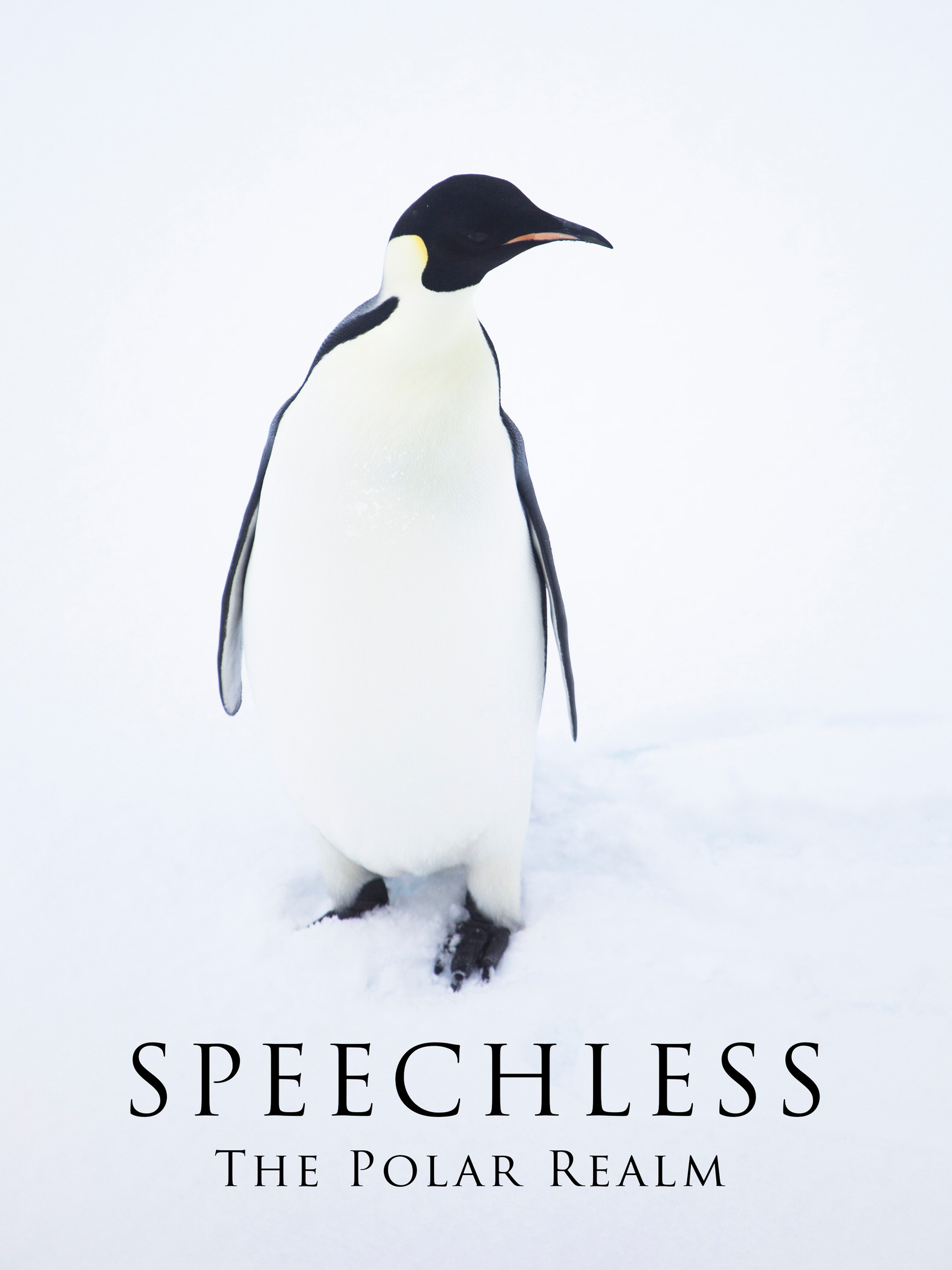 Speechless - The Polar Realm