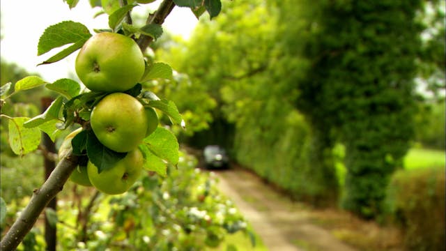 The Farm Fixer: S1.E7 - Paul & Richard