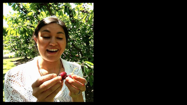 New Zealand with Nadia Lim: S1 Ep8 - ...