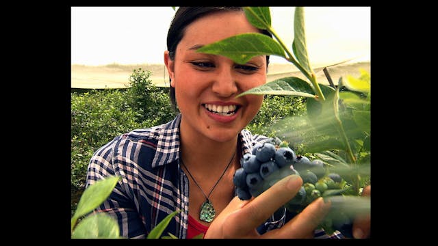 New Zealand with Nadia Lim: S1 Ep4 - ...
