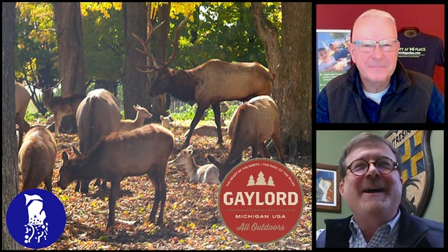 Gaylord, MI - Places to See Michigan Elk in the Wild