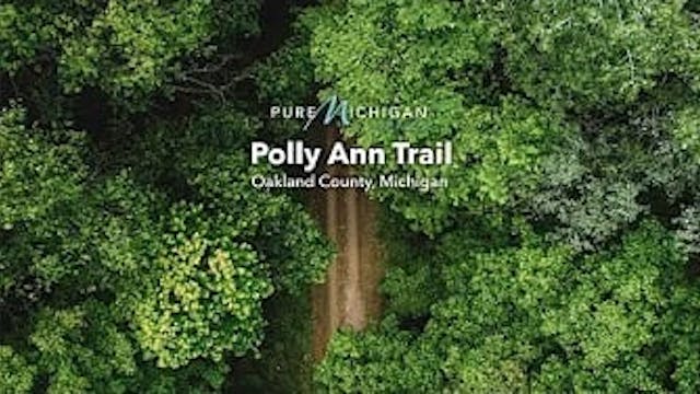 Polly Ann Trail  Pure Michigan Trails