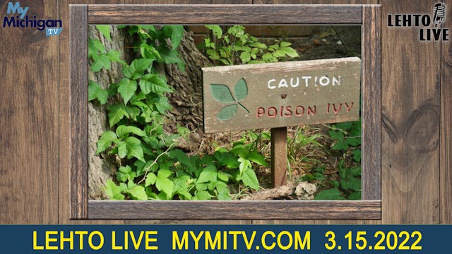 6 poisonous plants in Michigan: What ...