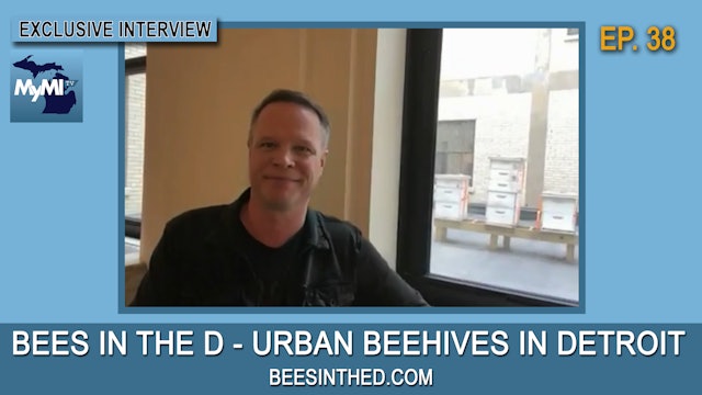 Bees In The D - Urban Beehives In Detroit - Larry & Maddie LIVE