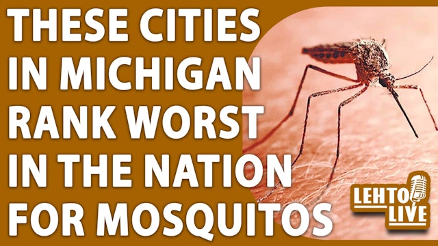 3 Michigan cities a cesspool for mosquitos, ranking among worst in nation