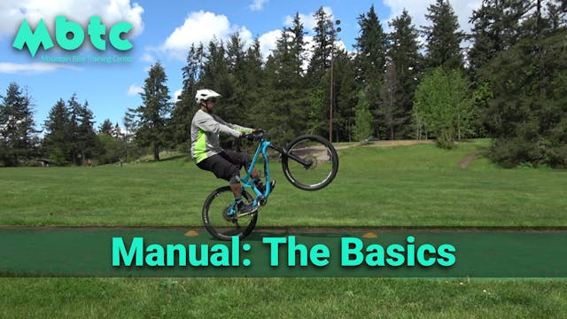 Manual: The Basics